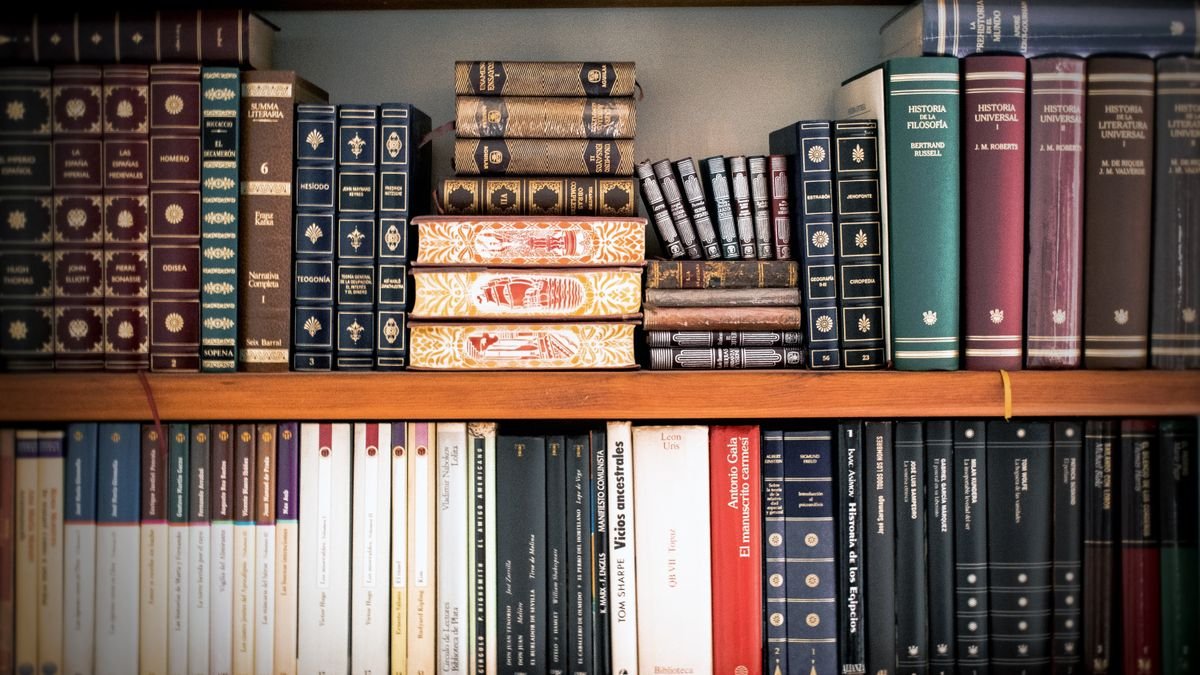 Boeken gesorteerd op boekenplanken