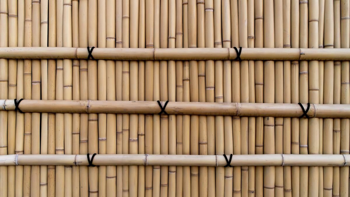Close-up van een bamboe wand